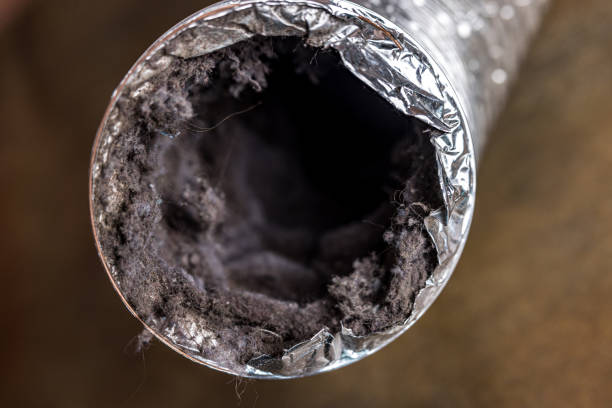 Best Local Air Duct Cleaning Services  in Hermann, MO