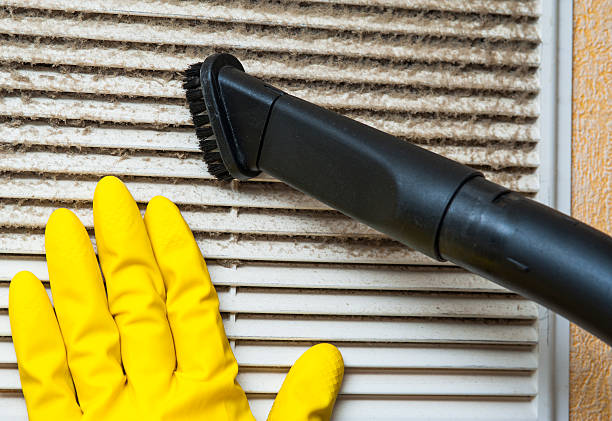 Best Air Duct Mold Removal  in Hermann, MO